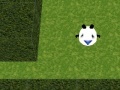 Игра Panda Hates Mazes