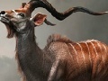 Игра Wild antelope slide puzzle