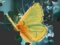 Игра Butterfly