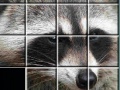 Игра Raccoon Puzzles