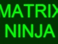 Игра Matrix Ninja