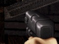 Ігра Duke Nukem: FPS