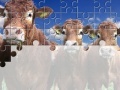 Ігра Gorgeous Cows Jigsaw