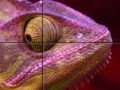 Ігра Purple Chameleon: Slider Puzzle