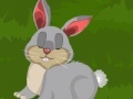 Игра Dora Rabbit Care