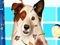 Игра Messy Dog With A Blog