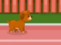 Ігра Puppy racer