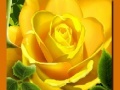 Ігра Yellow Roses