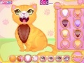 Ігра Precious Kitty Dentist