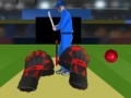 Игра Cricket tap catch
