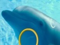 Игра Dolphin Tale 2 Hidden Alphabets