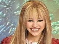 Игра Hannah Montana Trivia