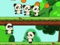 Игра Panda Shock Troop 