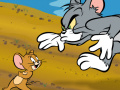 Игра Tom & Jerry in cat crossing