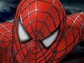 Игра Spider-man 3: Rescue Mary Jane 