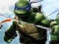Ігра Ninja Turtle Double Dragons 