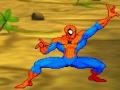 Игра Spiderman: Hero Training 