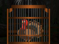 Игра Thanksgiving Turkey Cage Escape