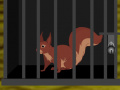 Игра Squirrel Cage Escape