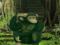 Игра Chimpanzee Forest Escape