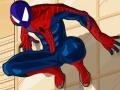 Ігра Spiderman Costume