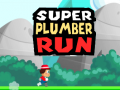 Игра Super Plumber Run