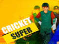 Игра Super Cricket      
