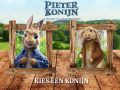 Ігра Pieter Konijn: Zoek het konijn