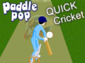 Игра Paddle Pop Quick Cricket