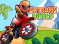 Игра Extreme Bikers