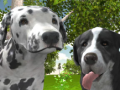 Игра Dog Simulator 3d