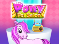 Игра Pony Pet Salon