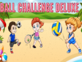 Игра Ball Challenge Deluxe