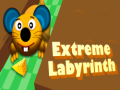 Игра Extreme Labyrinth