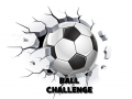 Игра Ball Challenge