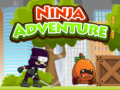 Игра Ninja Adventure