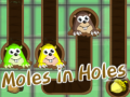 Игра Moles in Holes