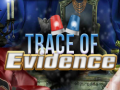 Ігра Trace of Evidence