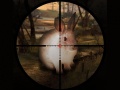 Ігра Classical Rabbit Sniper Hunting 2019