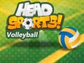Ігра Head Sports Volleyball