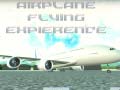Игра Airplane Flying Expierence