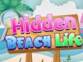 Ігра Hidden Beach Life