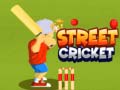 Ігра Street Cricket