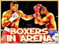 Игра Boxers in Arena