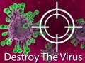 Игра Destroy The Virus