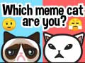 Игра Which Meme Cat Are You?