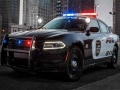 Ігра Police Cars Slide