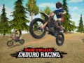 Игра Dirt Bike Enduro Racing