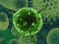 Ігра Corona Virus Clicker