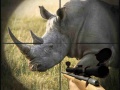 Ігра Wild Rhino Hunter